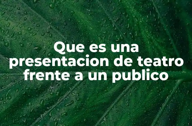 Que es una Presentacion de Teatro Frente a un Publico