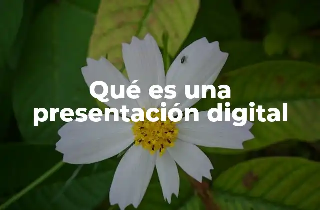 Qué es una Presentación Digital