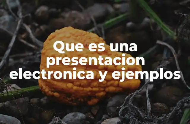 Que es una Presentacion Electronica y Ejemplos