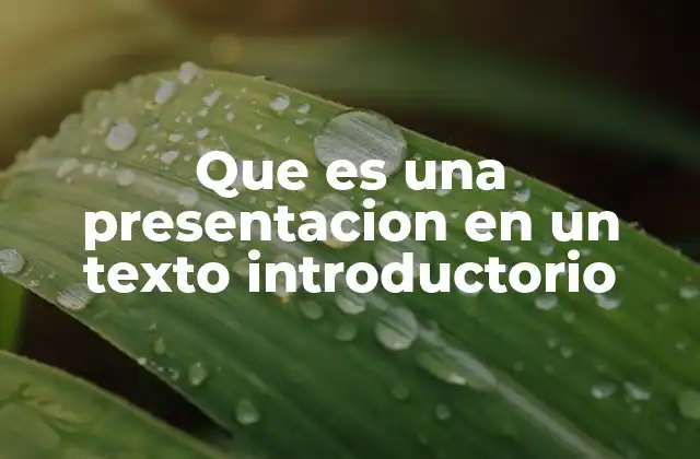 Que es una Presentacion en un Texto Introductorio