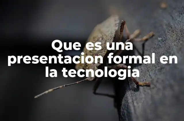 Que es una Presentacion Formal en la Tecnologia