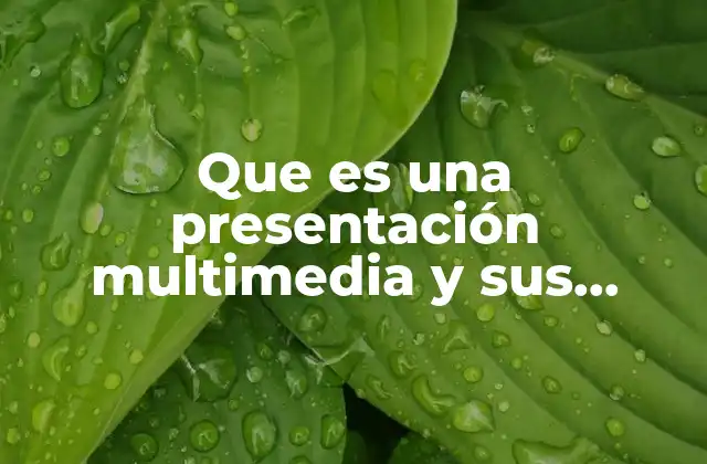 Que es una Presentación Multimedia y Sus Caracteristicas