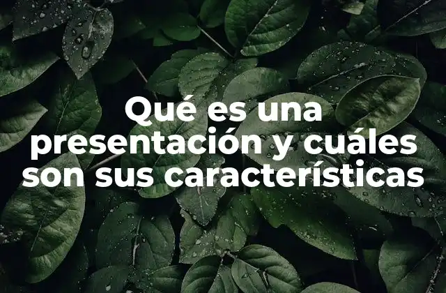 Qué es una Presentación y Cuáles Son Sus Características
