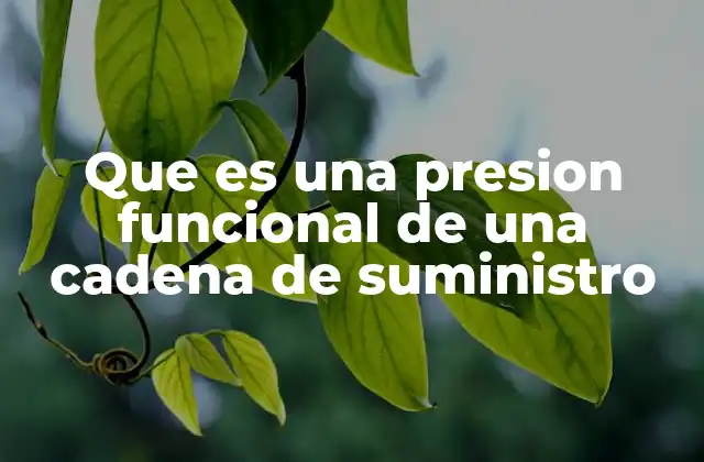 Factores que generan presión funcional en las cadenas de suministro