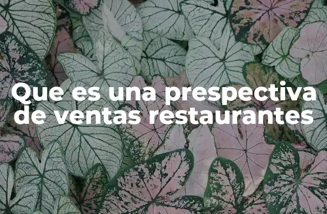 Que es una Prespectiva de Ventas Restaurantes