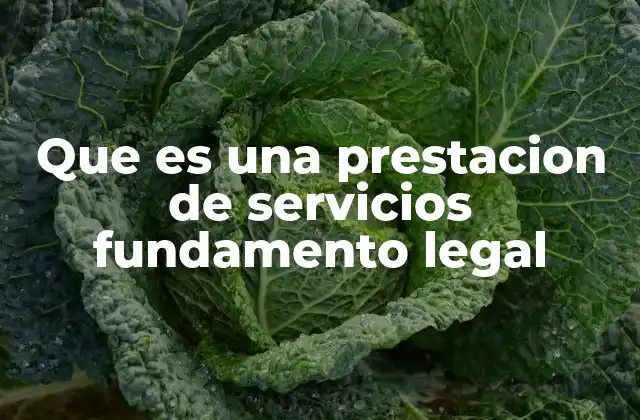 Que es una Prestacion de Servicios Fundamento Legal