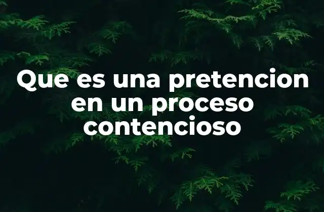 Que es una Pretencion en un Proceso Contencioso
