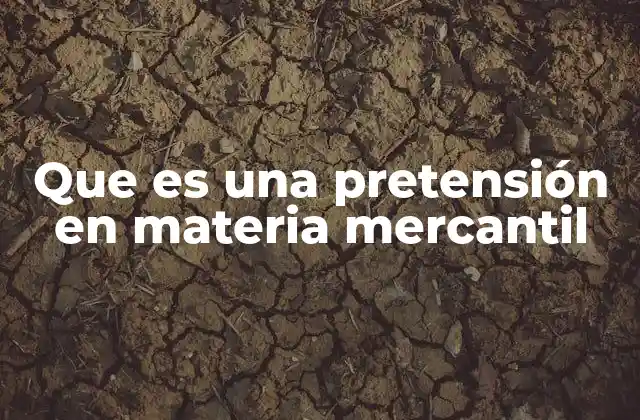 Que es una Pretensión en Materia Mercantil