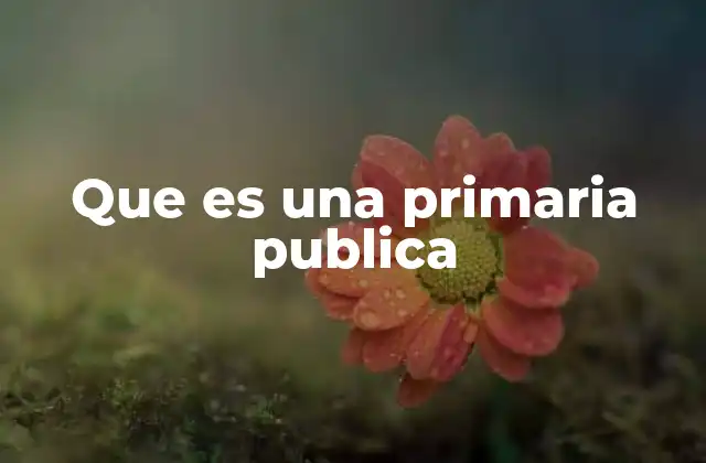 Que es una Primaria Publica