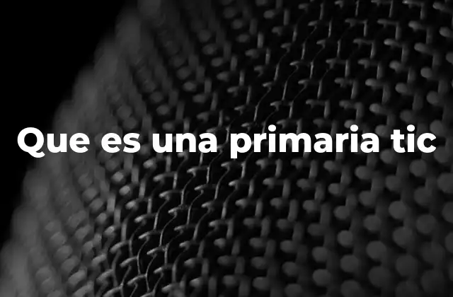 Que es una Primaria Tic