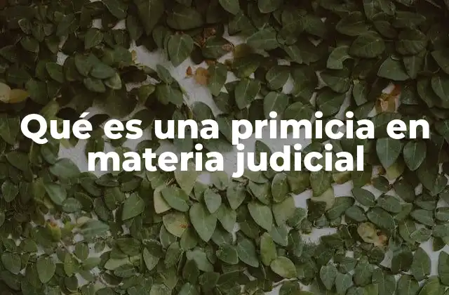Qué es una Primicia en Materia Judicial