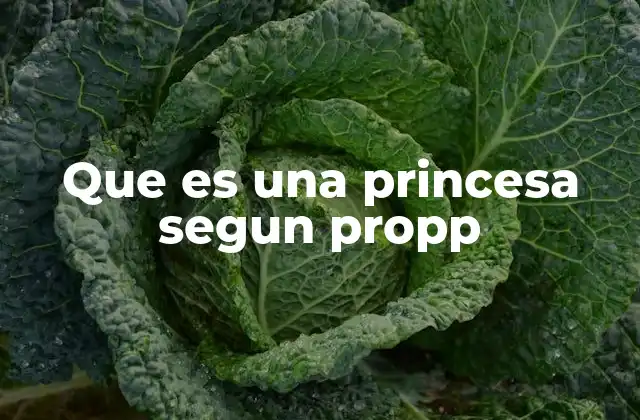 Que es una Princesa Segun Propp