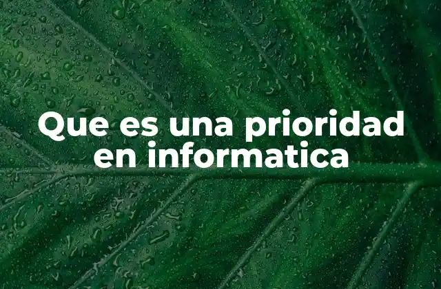 Que es una Prioridad en Informatica