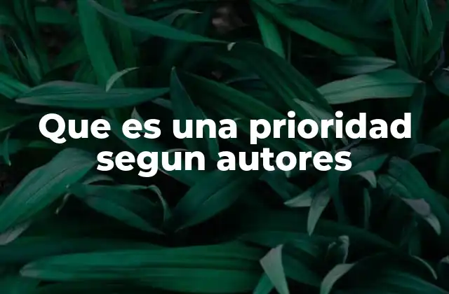 Que es una Prioridad Segun Autores