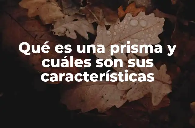 Qué es una Prisma y Cuáles Son Sus Características