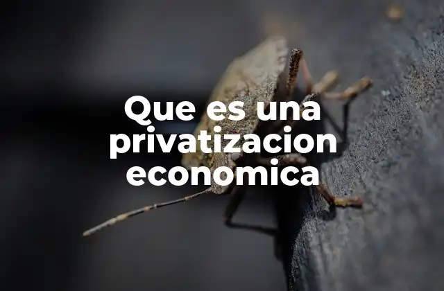 Que es una Privatizacion Economica