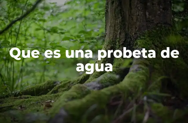 Que es una Probeta de Agua