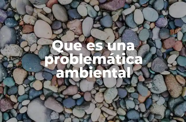 Que es una Problemática Ambiental