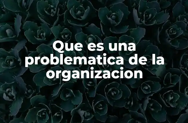 Que es una Problematica de la Organizacion