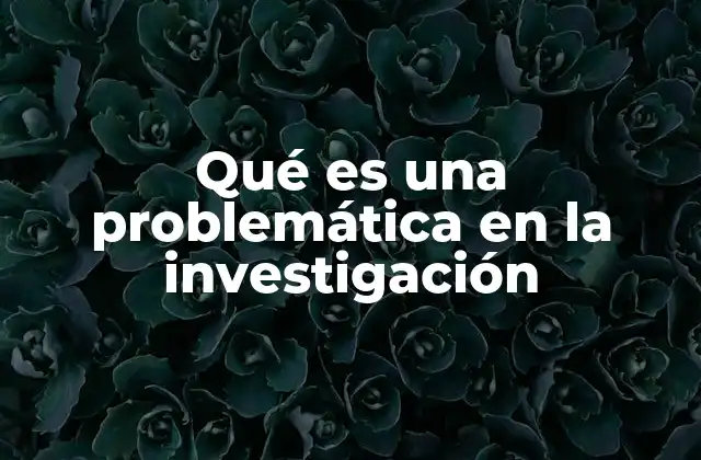 Qué es una Problemática en la Investigación