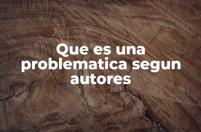Que es una Problematica Segun Autores 2 Las raíces conceptuales de lo que se considera problemático
