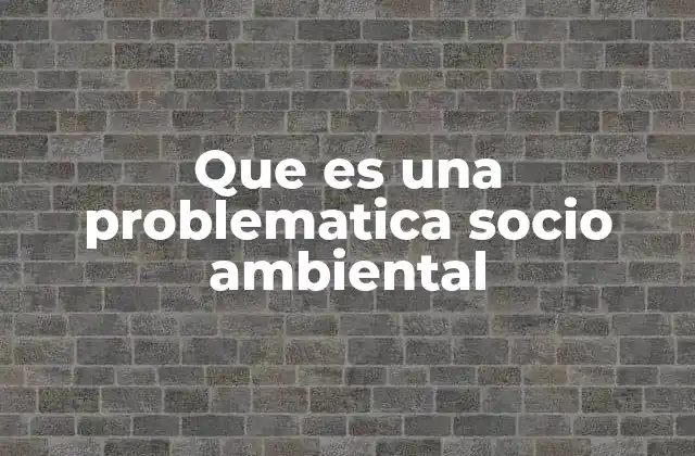 Que es una Problematica Socio Ambiental