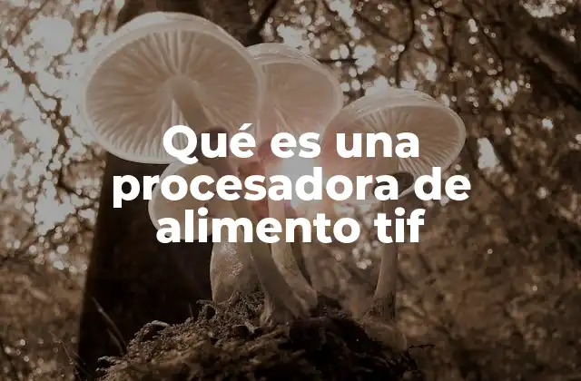 Qué es una Procesadora de Alimento Tif