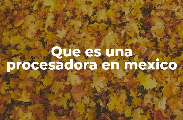 Que es una Procesadora en Mexico