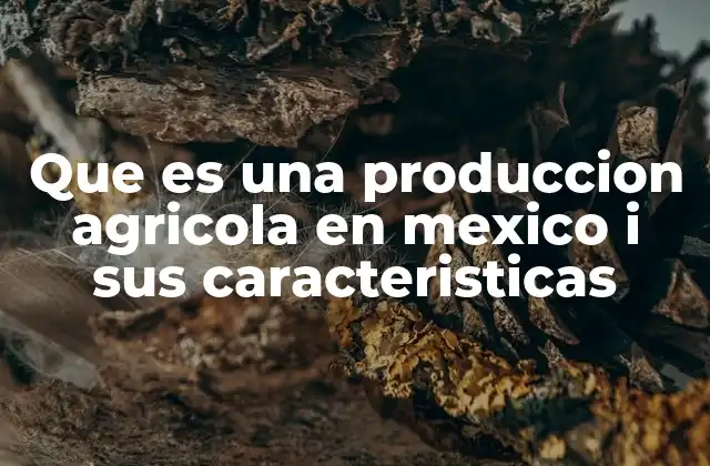 Que es una Produccion Agricola en Mexico I Sus Caracteristicas