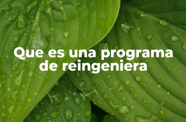 Que es una Programa de Reingeniera
