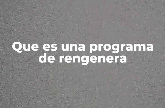 Que es una Programa de Rengenera