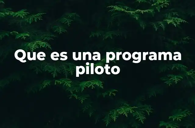 Que es una Programa Piloto