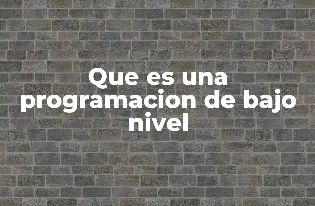 Que es una Programacion de bajo Nivel