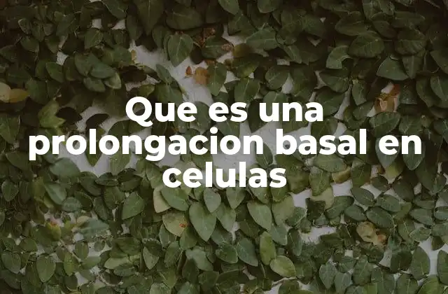 Que es una Prolongacion Basal en Celulas 2 Estructura y función de las prolongaciones basales