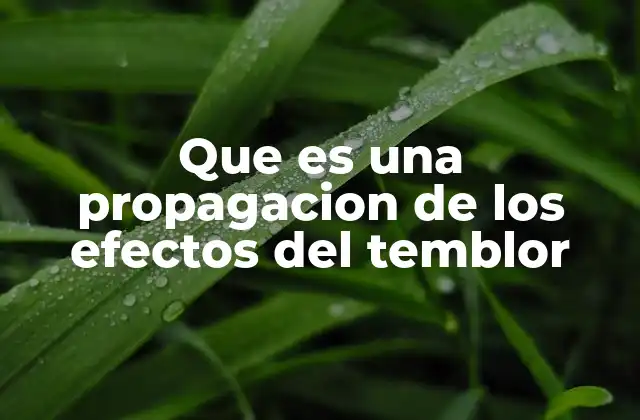 Que es una Propagacion de los Efectos Del Temblor