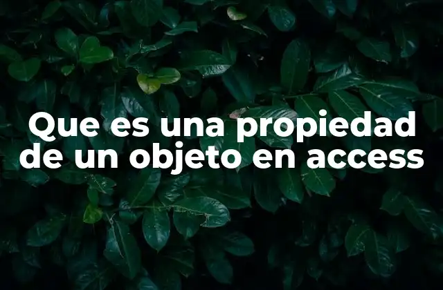 Cómo se manejan las propiedades en Access