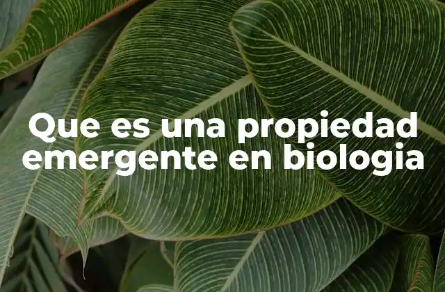 Que es una Propiedad Emergente en Biologia