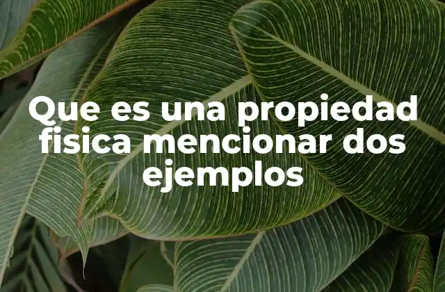 Que es una Propiedad Fisica Mencionar Dos Ejemplos 2 Características de las propiedades físicas que debes conocer