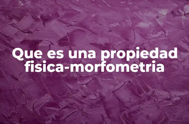Que es una Propiedad Fisica-morfometria