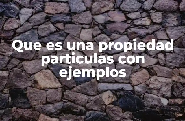 Que es una Propiedad Particulas con Ejemplos
