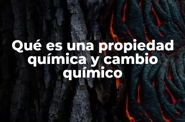 Qué es una Propiedad Química y Cambio Químico