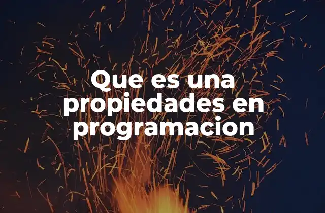 Que es una Propiedades en Programacion
