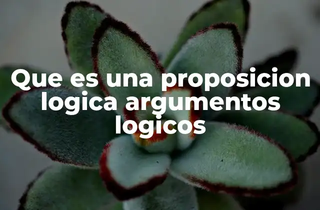La importancia de las proposiciones en la construcción de razonamientos válidos