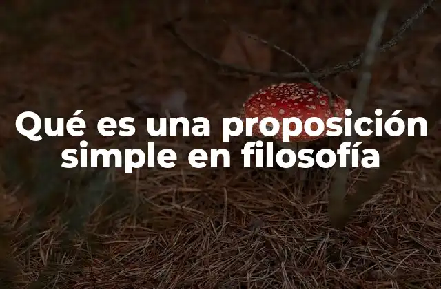 Qué es una Proposición Simple en Filosofía