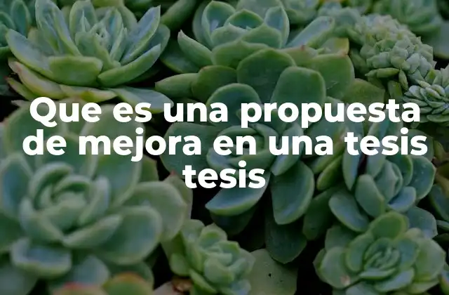 Que es una Propuesta de Mejora en una Tesis Tesis