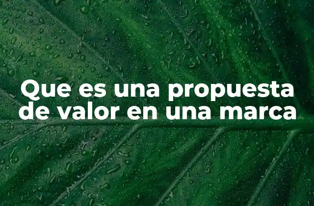 Que es una Propuesta de Valor en una Marca