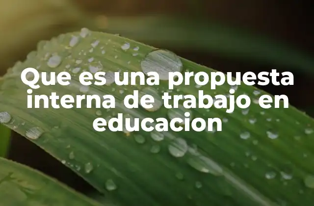 Que es una Propuesta Interna de Trabajo en Educacion