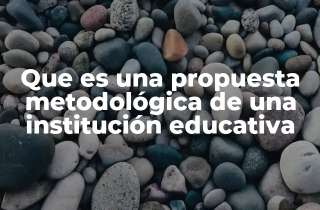 Que es una Propuesta Metodológica de una Institución Educativa