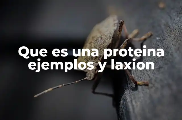 Que es una Proteina Ejemplos y Laxion