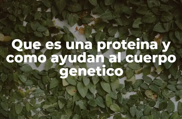 Que es una Proteina y como Ayudan Al Cuerpo Genetico